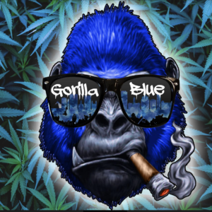 Gorilla Blue