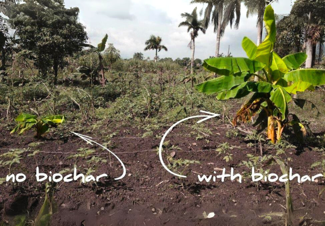 Untitled design (32)